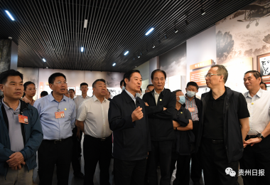 劉奇葆率全國政協黨外委員視察團在貴州視察 全國政協委員張華榮董事長陪同
